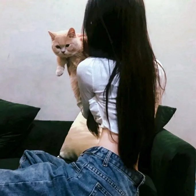纸相机